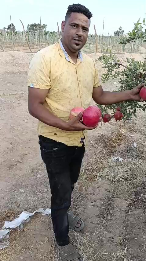 @احمد عمر
