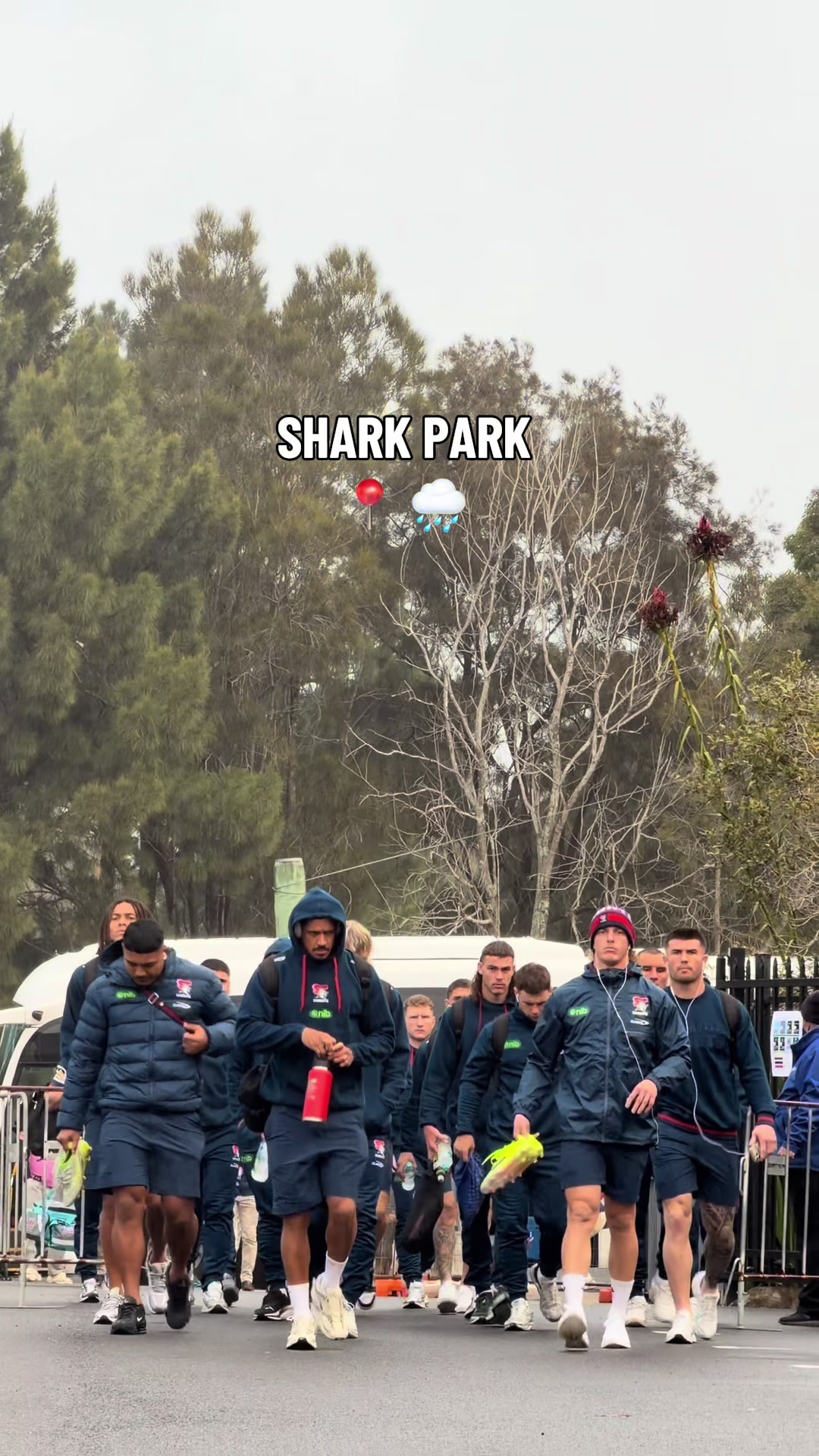 @Newcastle Knights