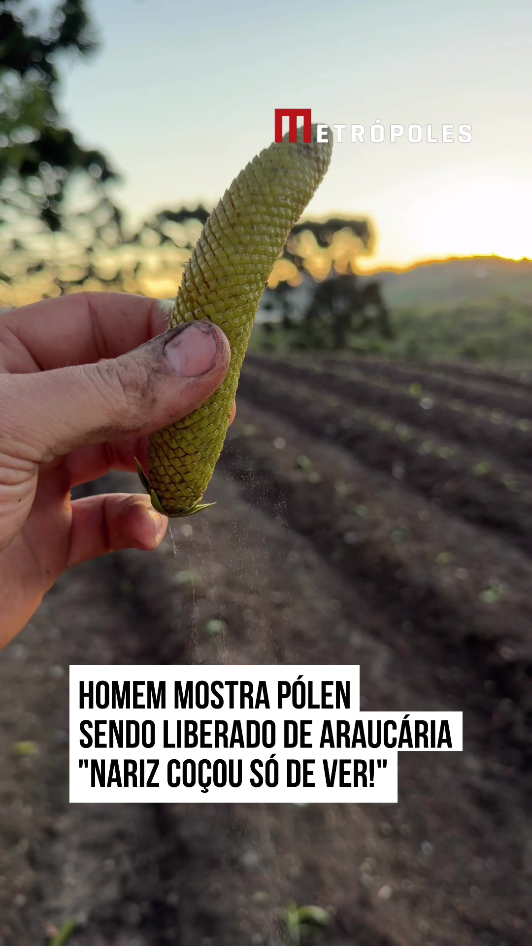 @Metrópoles Oficial
