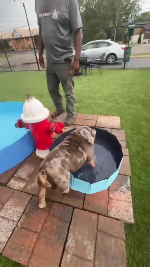 @barkleythabulldog