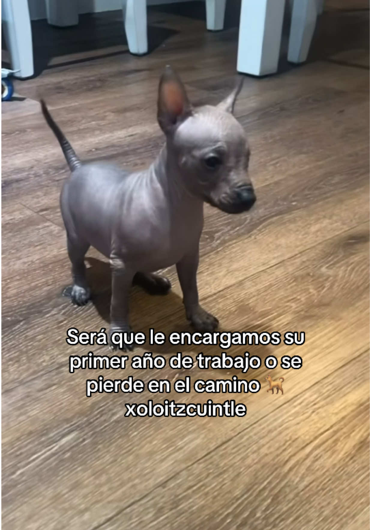 @Srj,Richar 💎