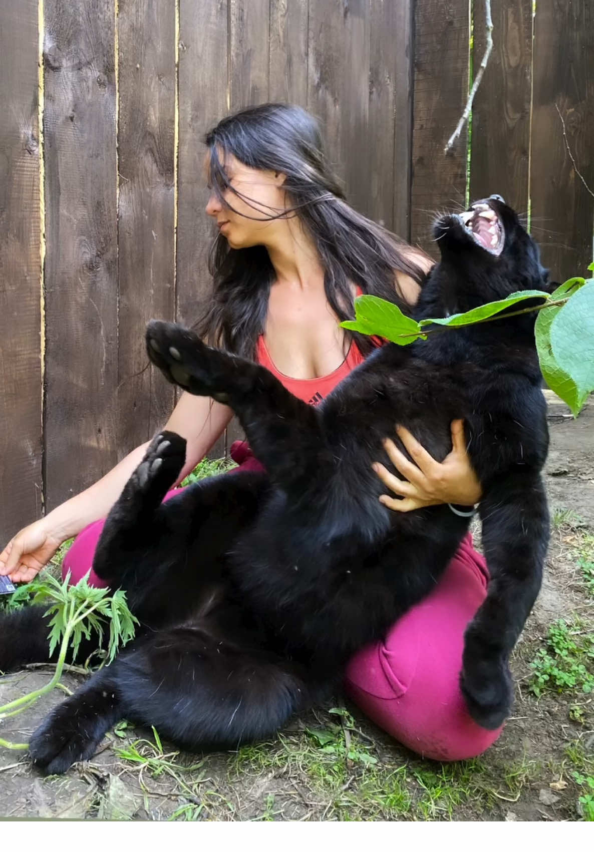@Luna_the_pantera