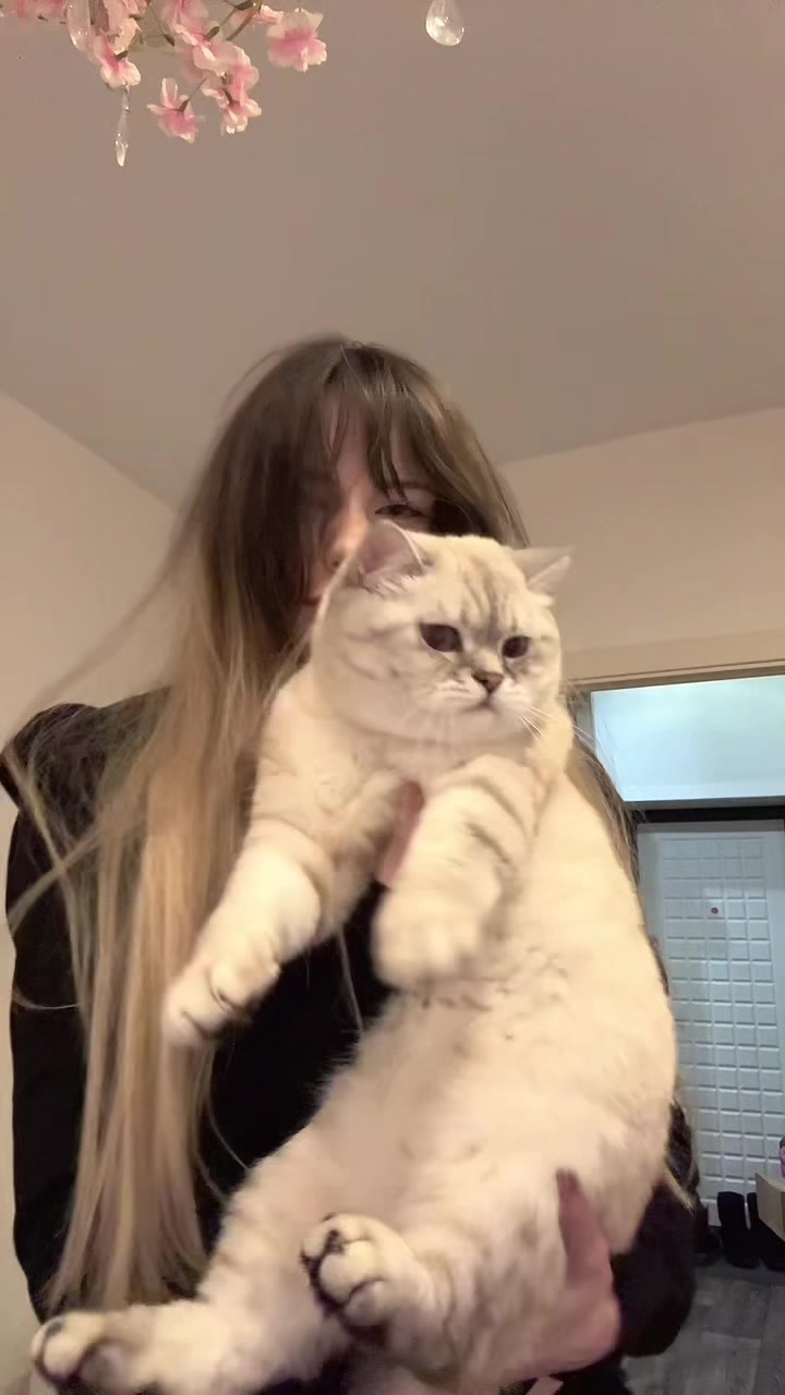 @Катенька♡