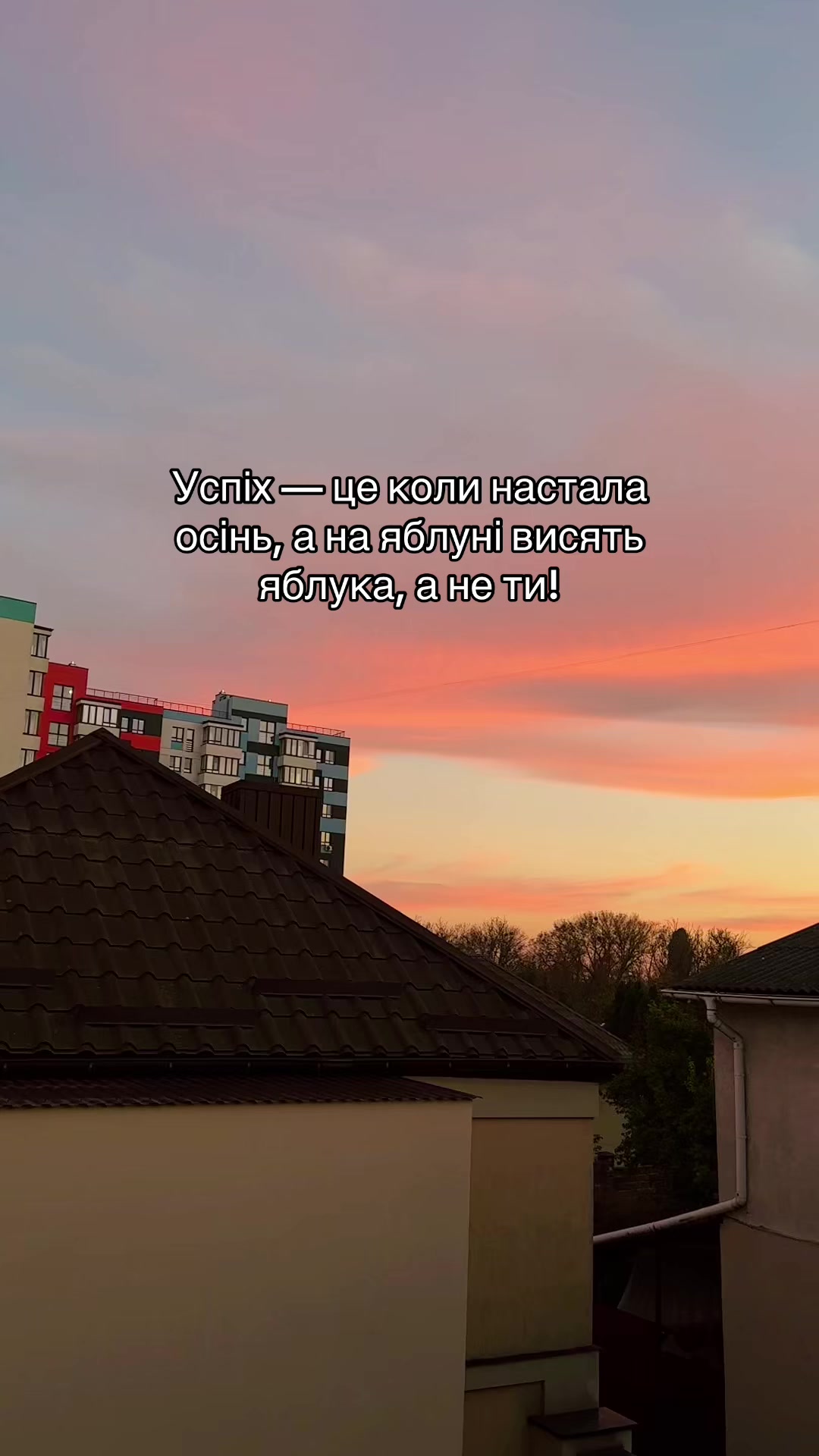 @Та сама Анастейша🐆