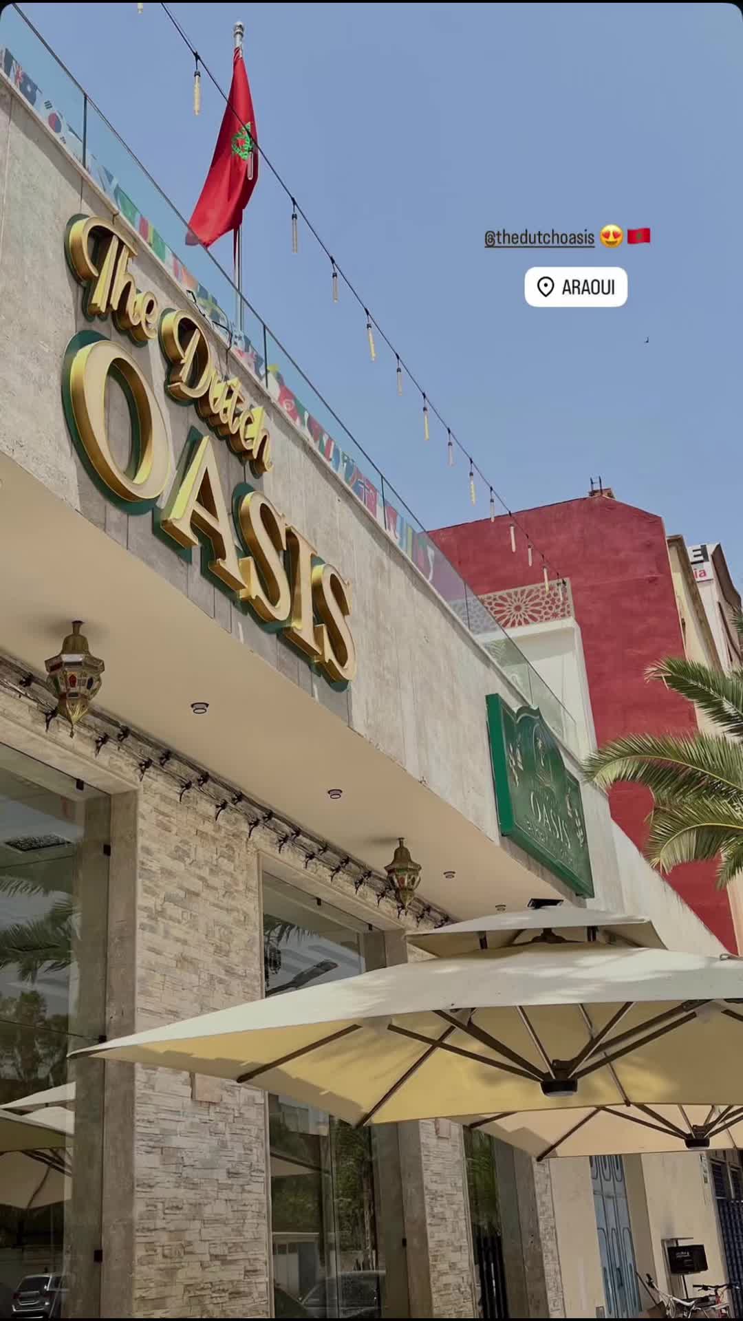 @thedutchoasis