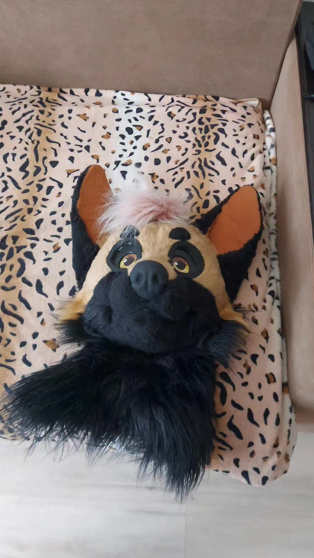 @RUSTY#WingedFox