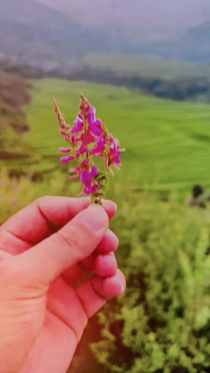 @iNaM جانی 🧪👨🔬