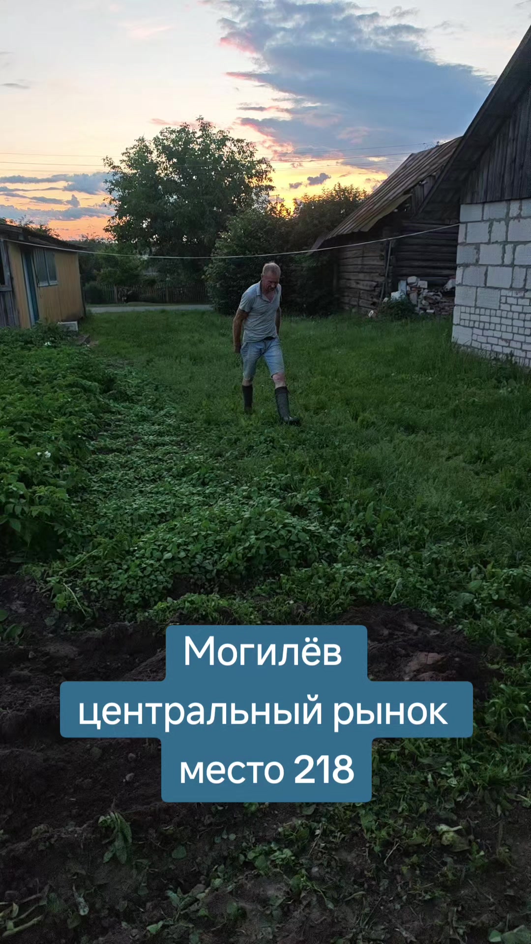 @Картофель Могилёв