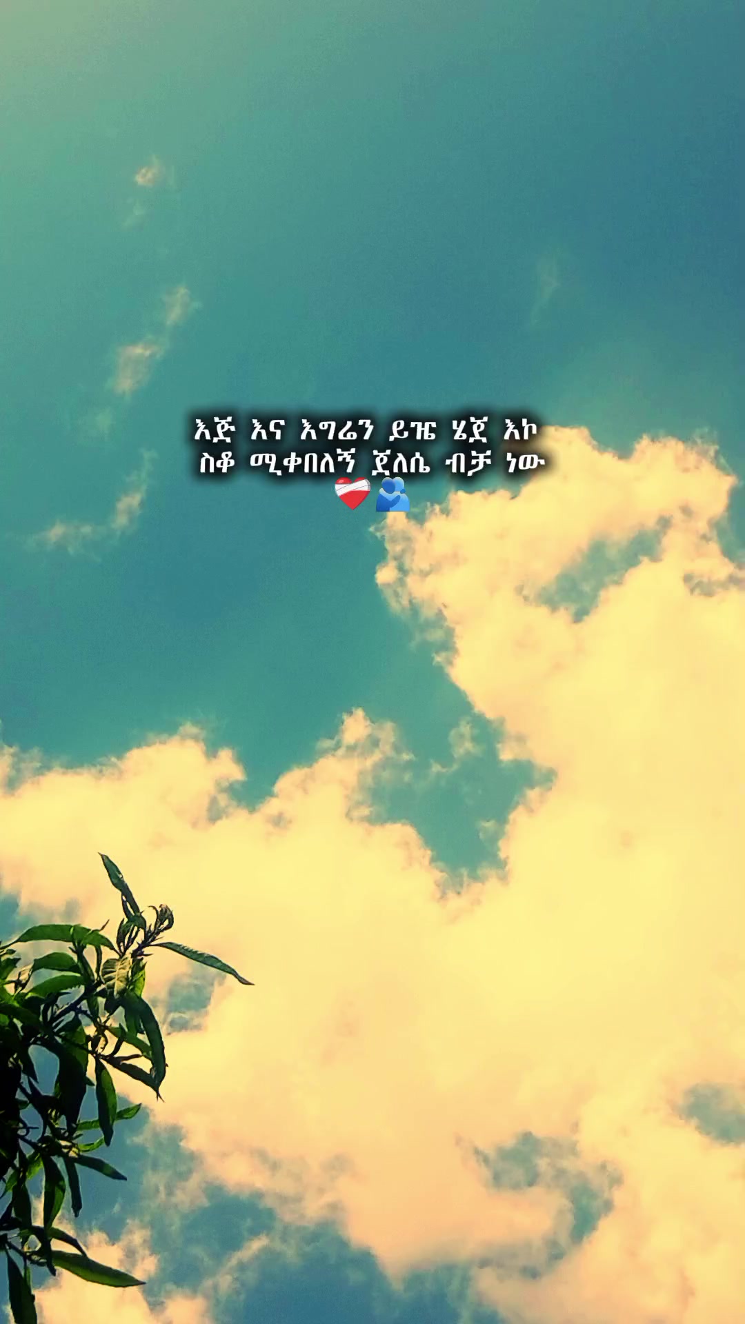 @★𝐀𝐛𝐮𝐤𝐢 𝐉𝐫★
