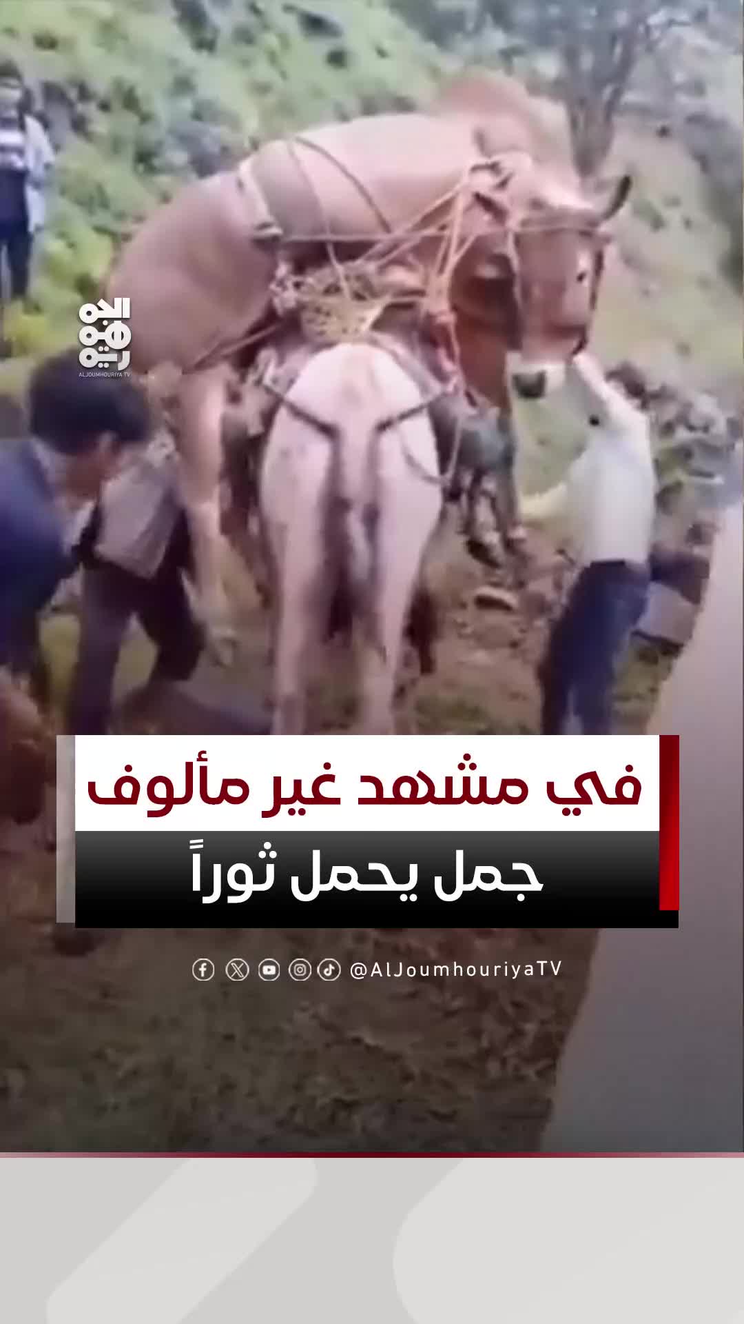@قناة الجمهورية