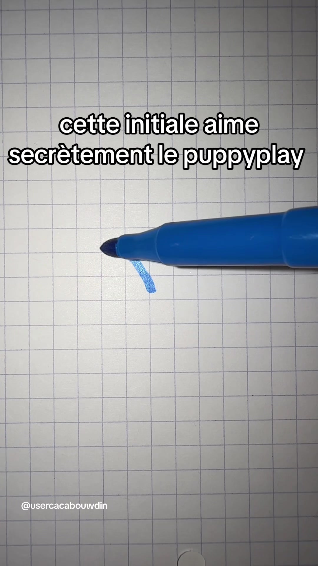 @🪽