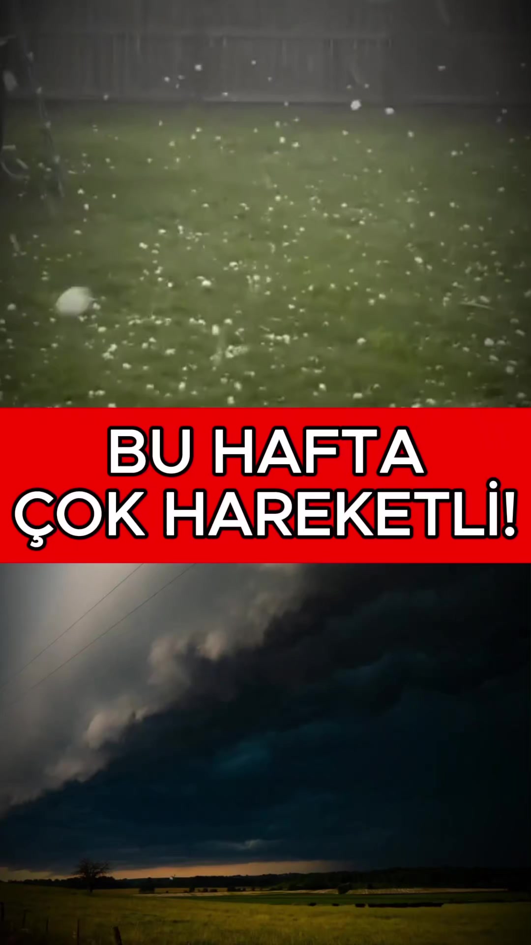 @Havadar