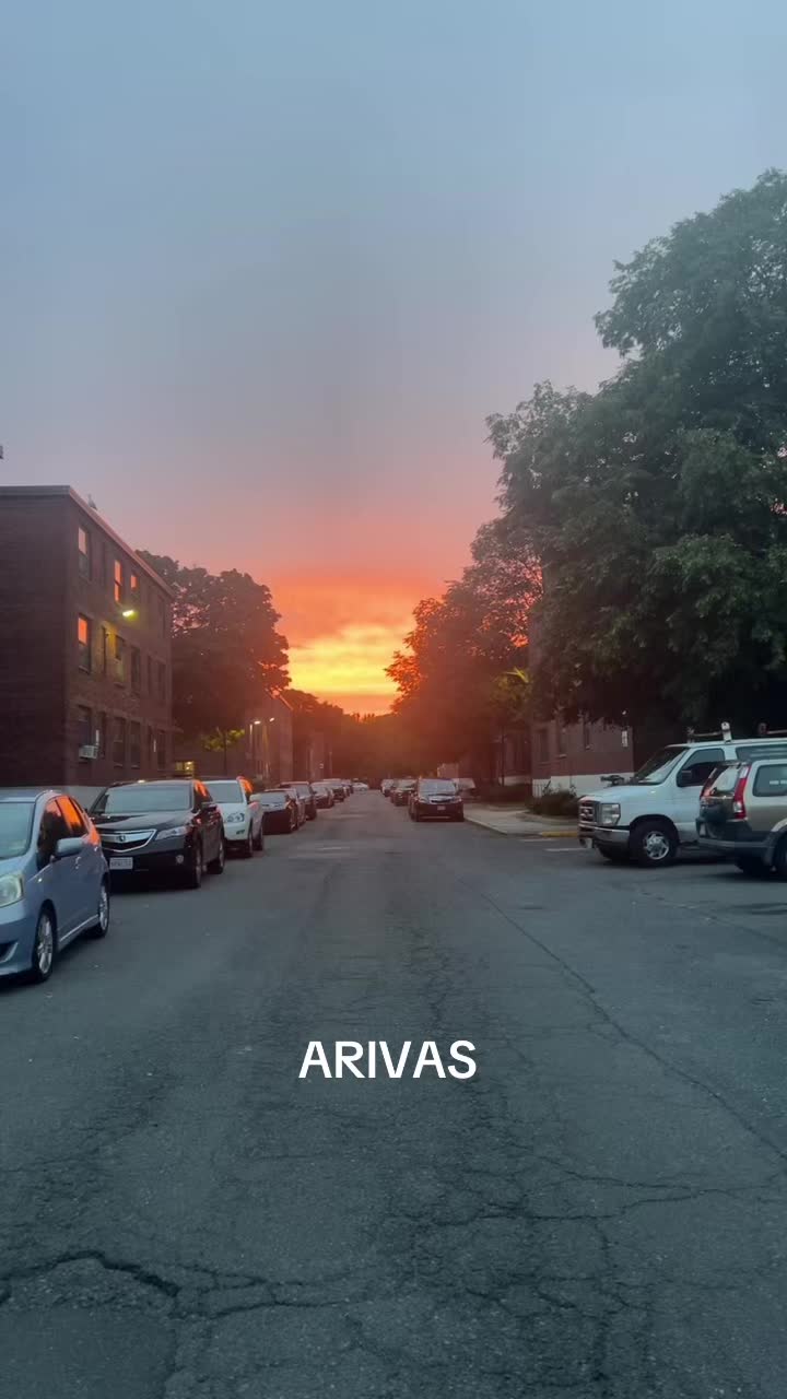 @arcedinarivas