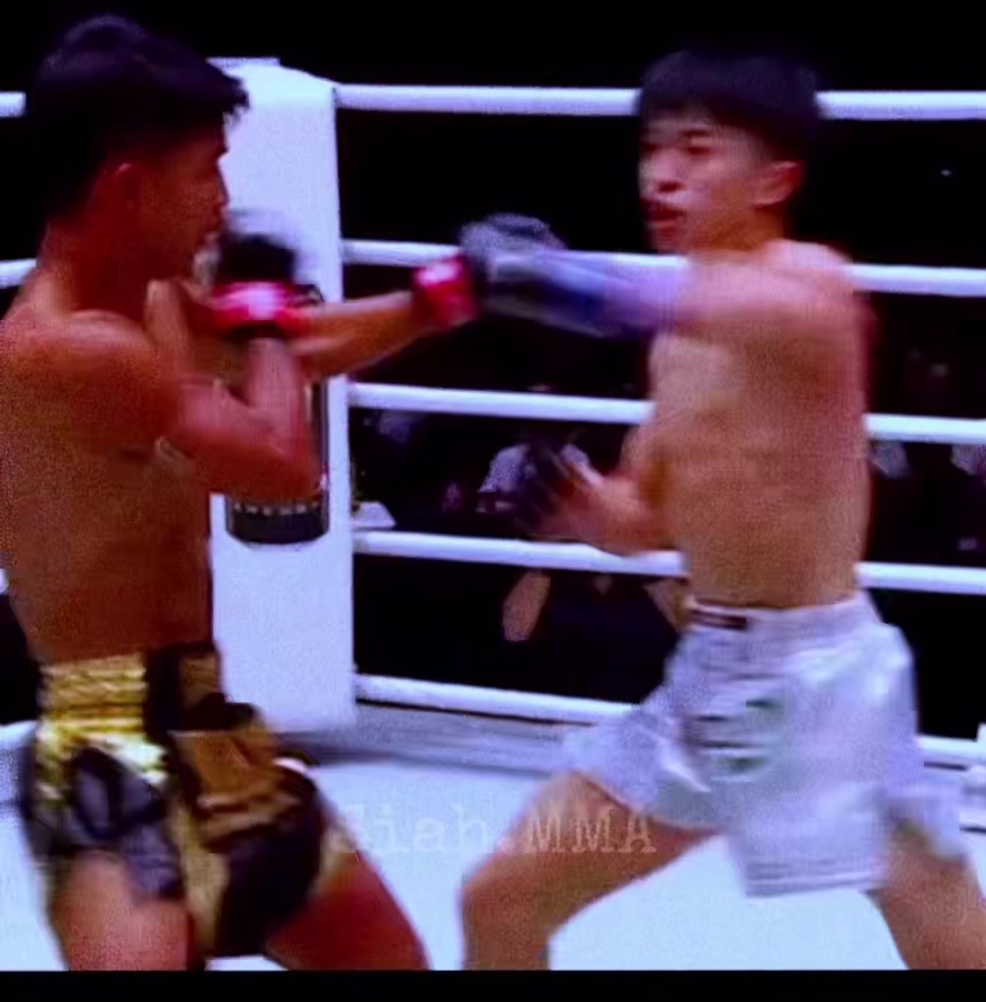 @Siah.MMA