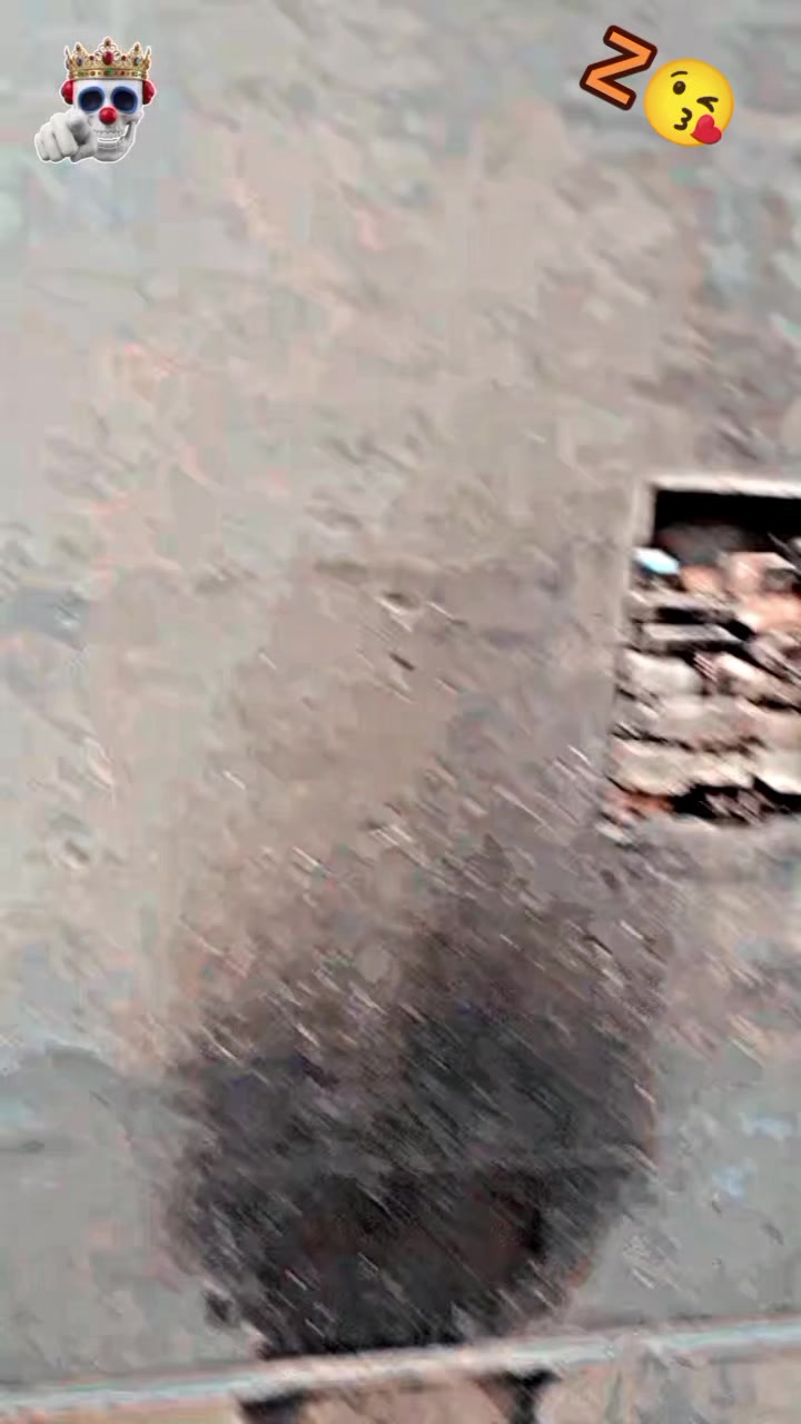 @👻🅾🆈🅴 دانی🦅