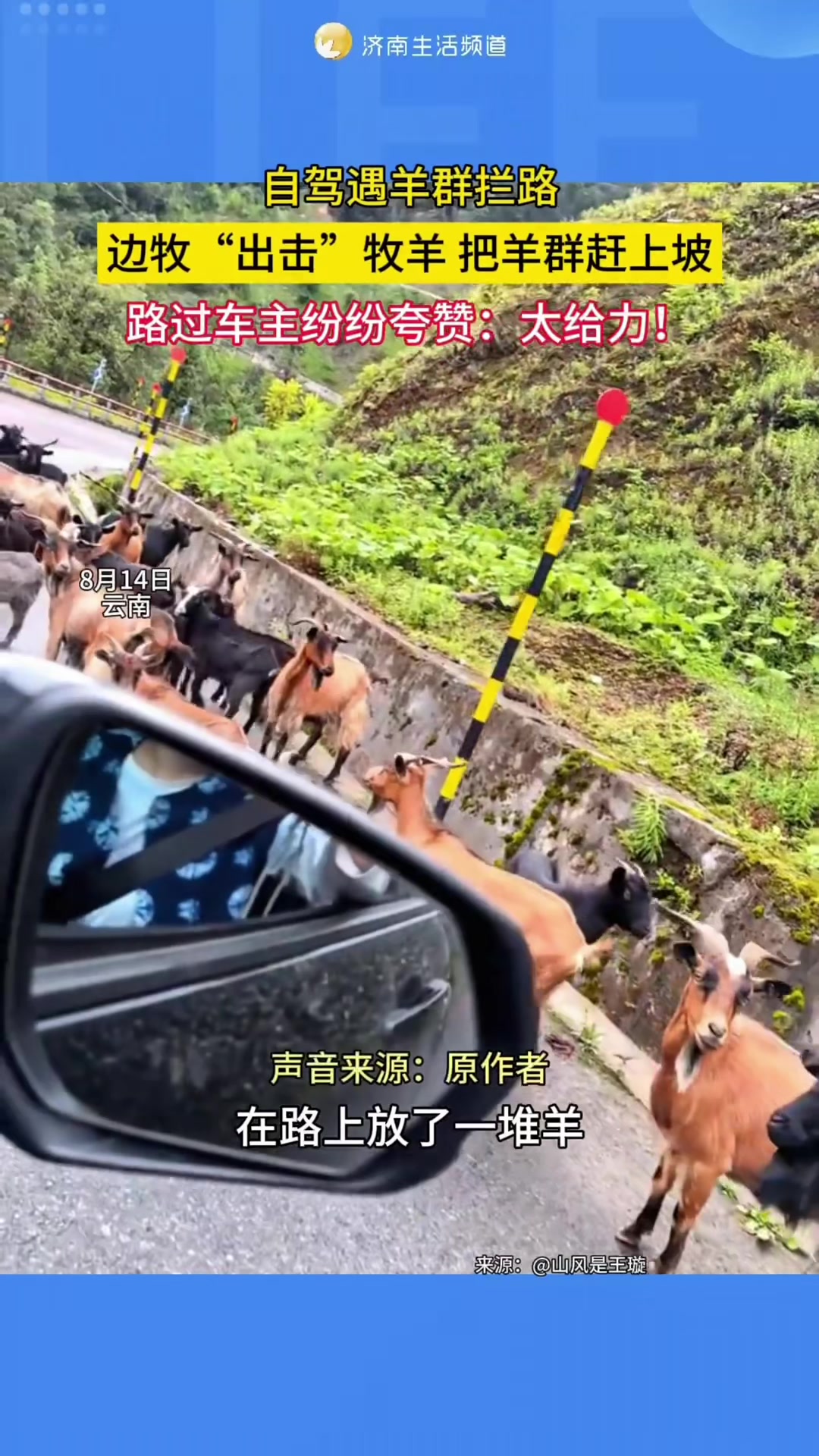 @中国蓝国际