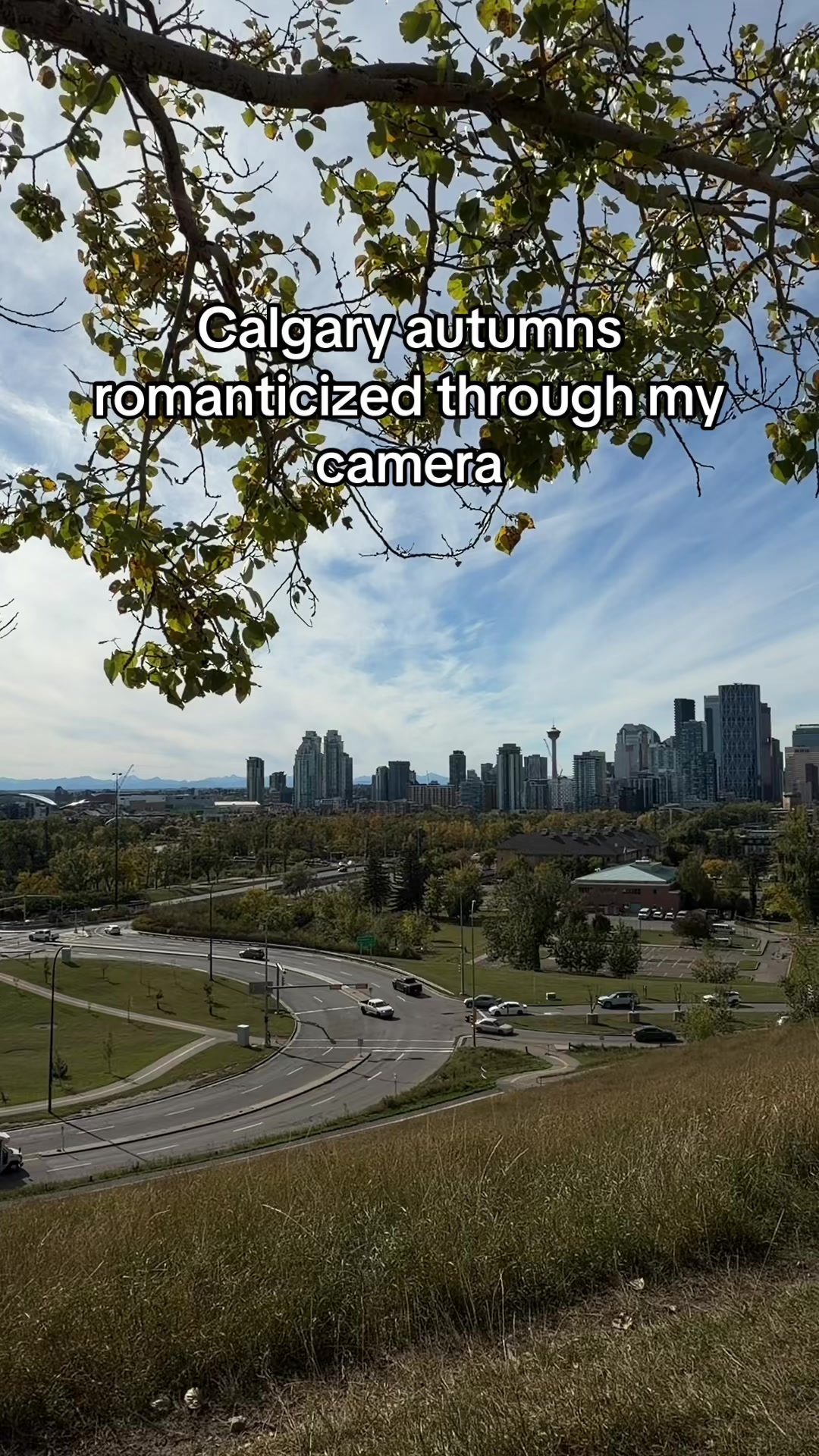 @yycstreetphotography