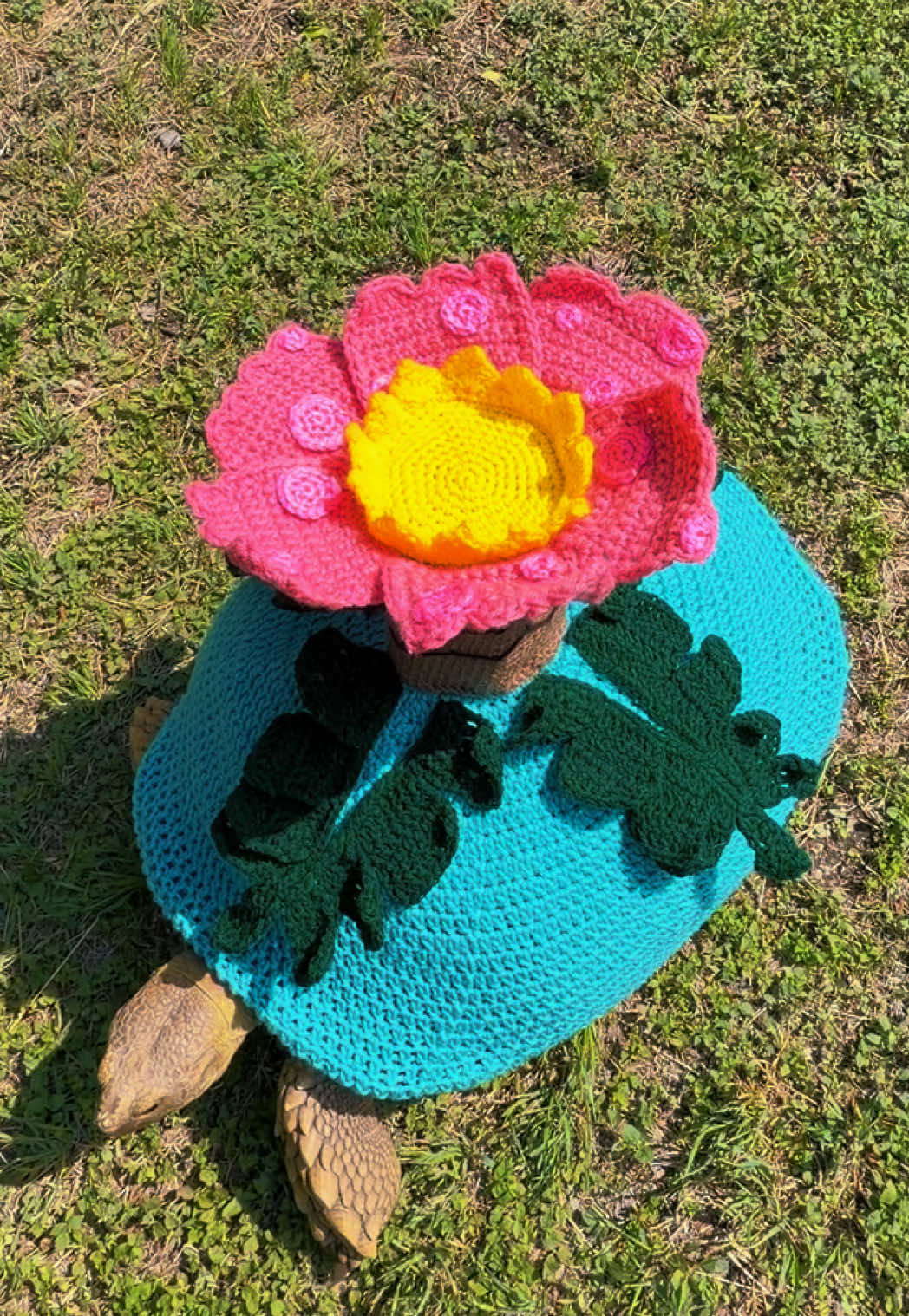 @OtisTheTortoise