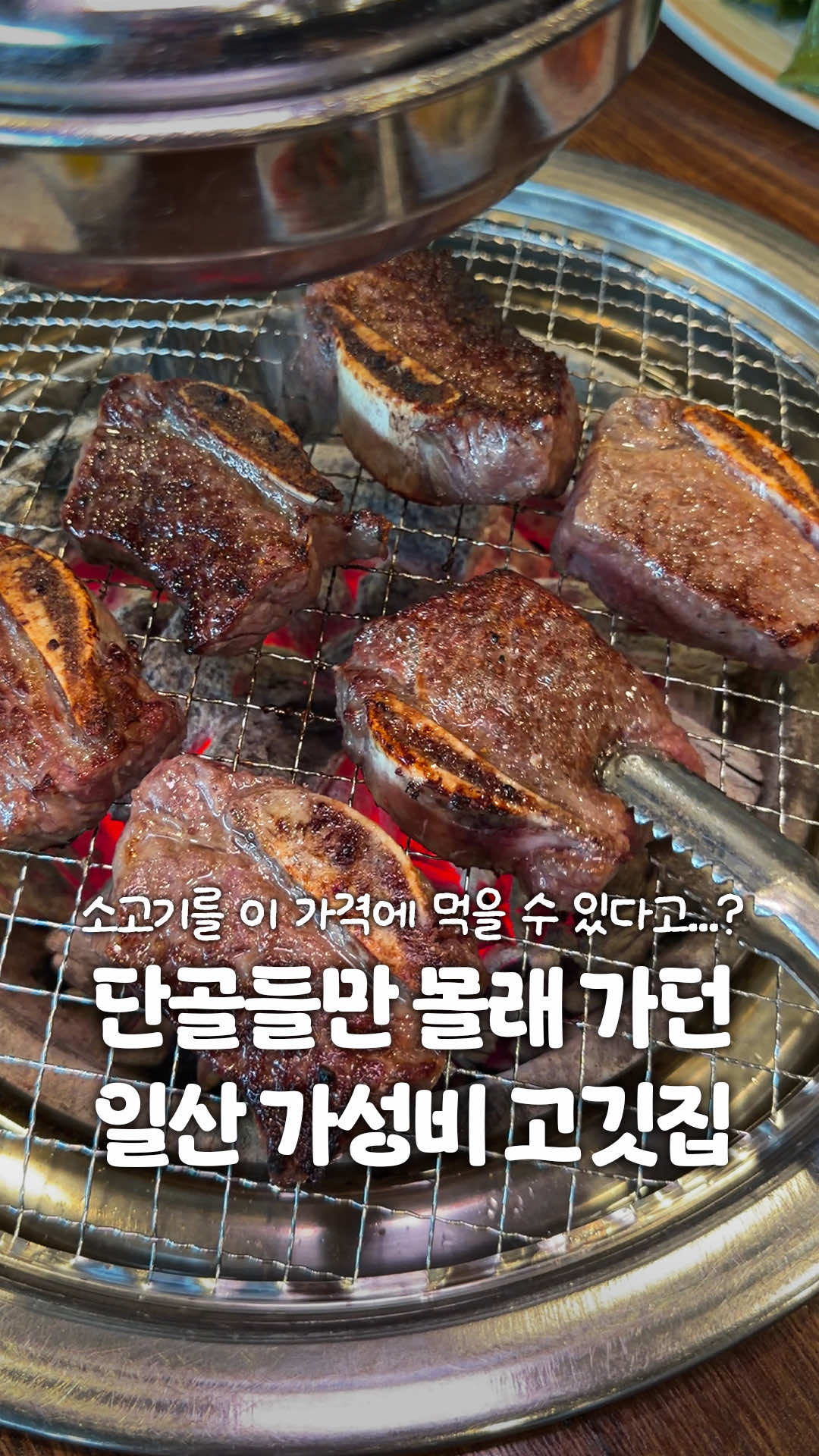 @일산갈고양