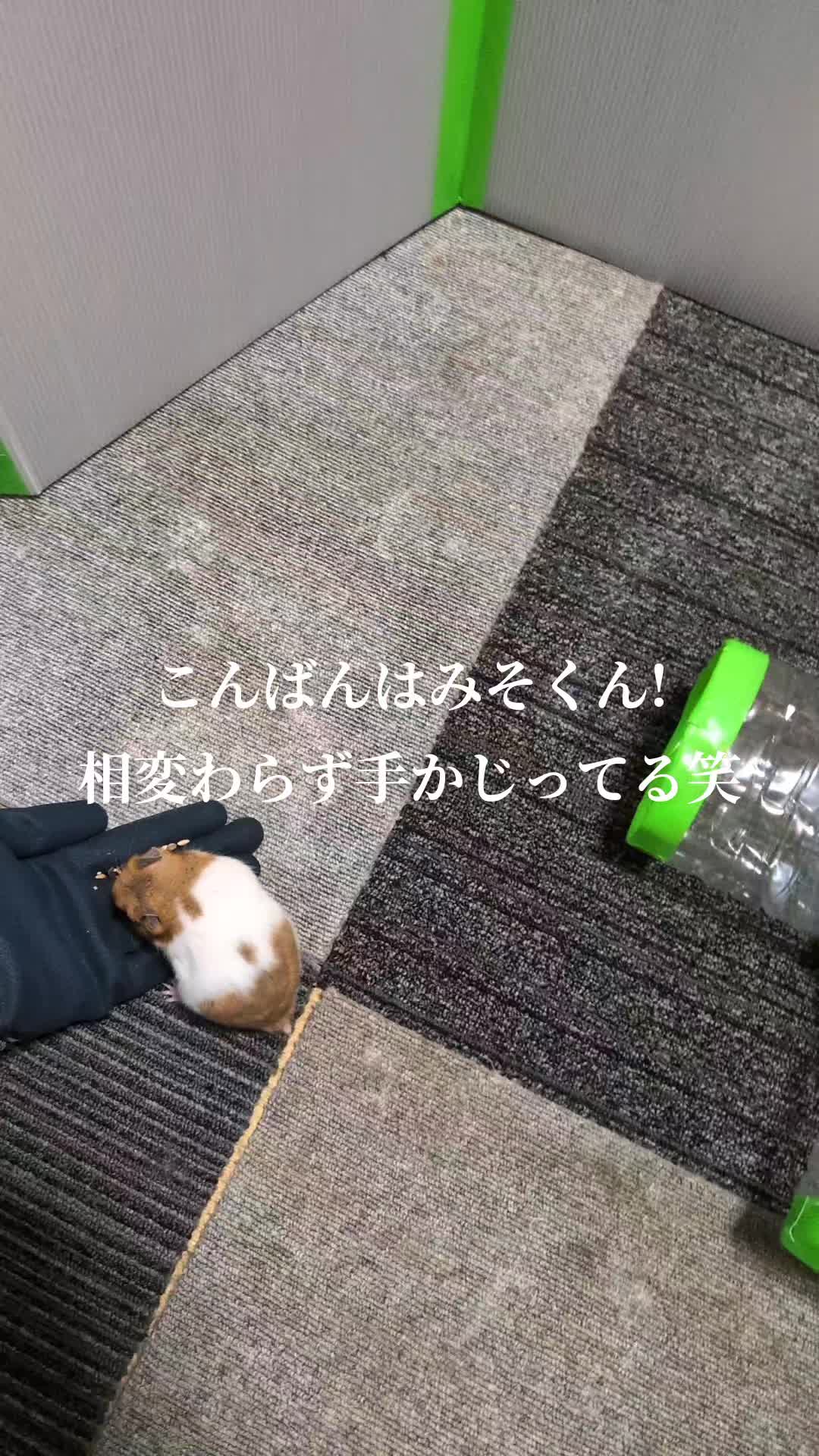 @K・B・M