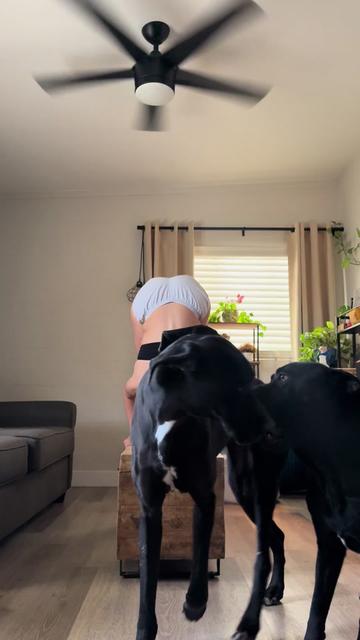 @beeonpole