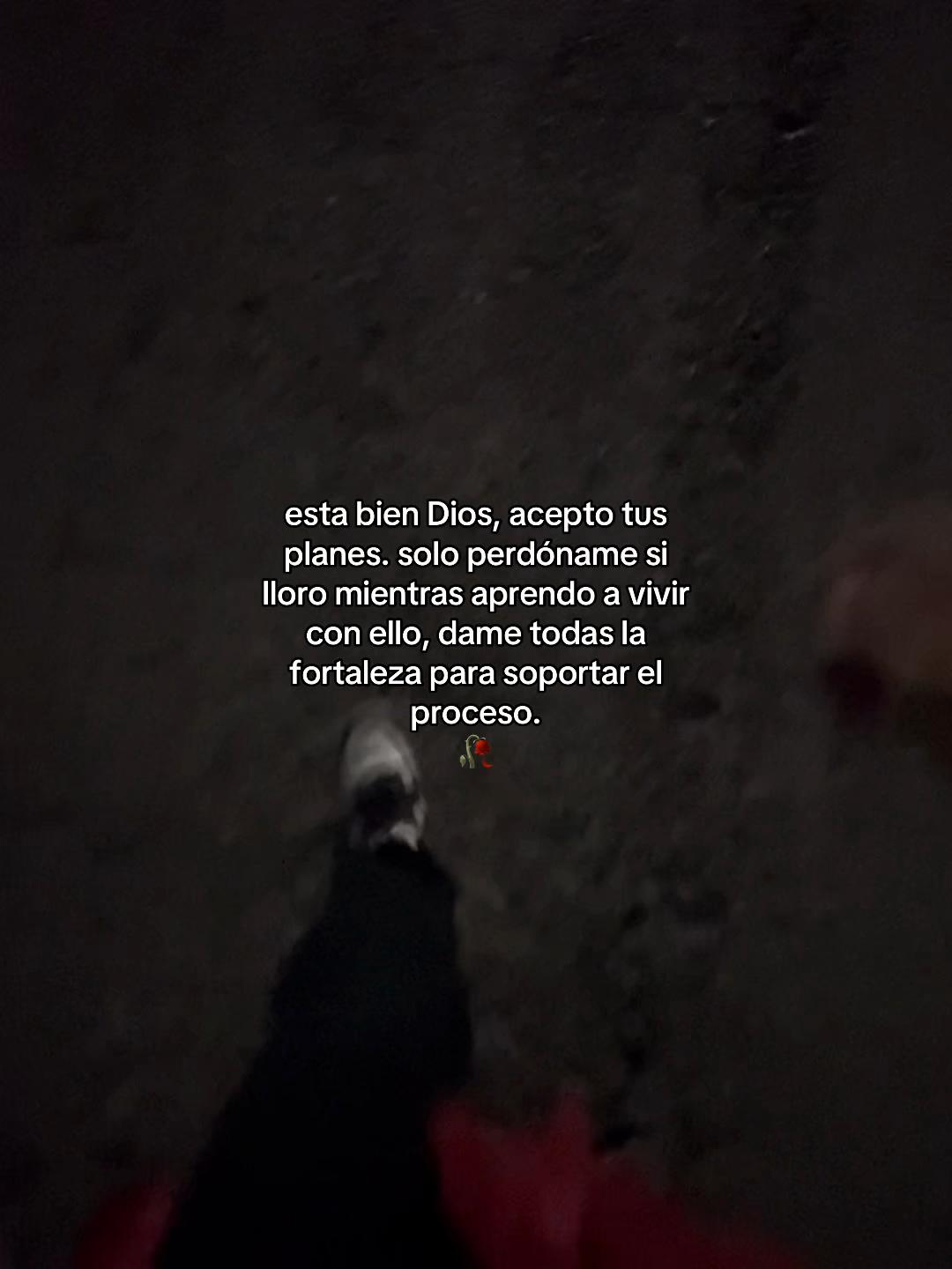 @Yo te escucho 🫂❤️🩹