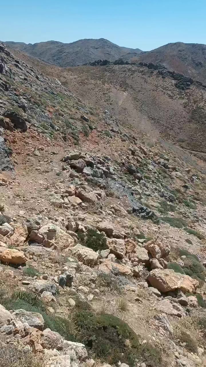 @DAĞCI.46