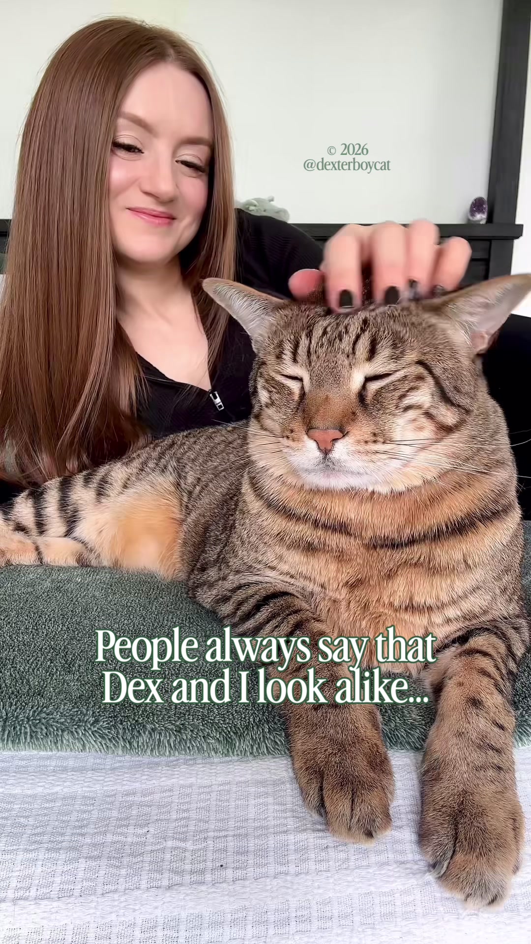 @dexterboycat 🐆♥️
