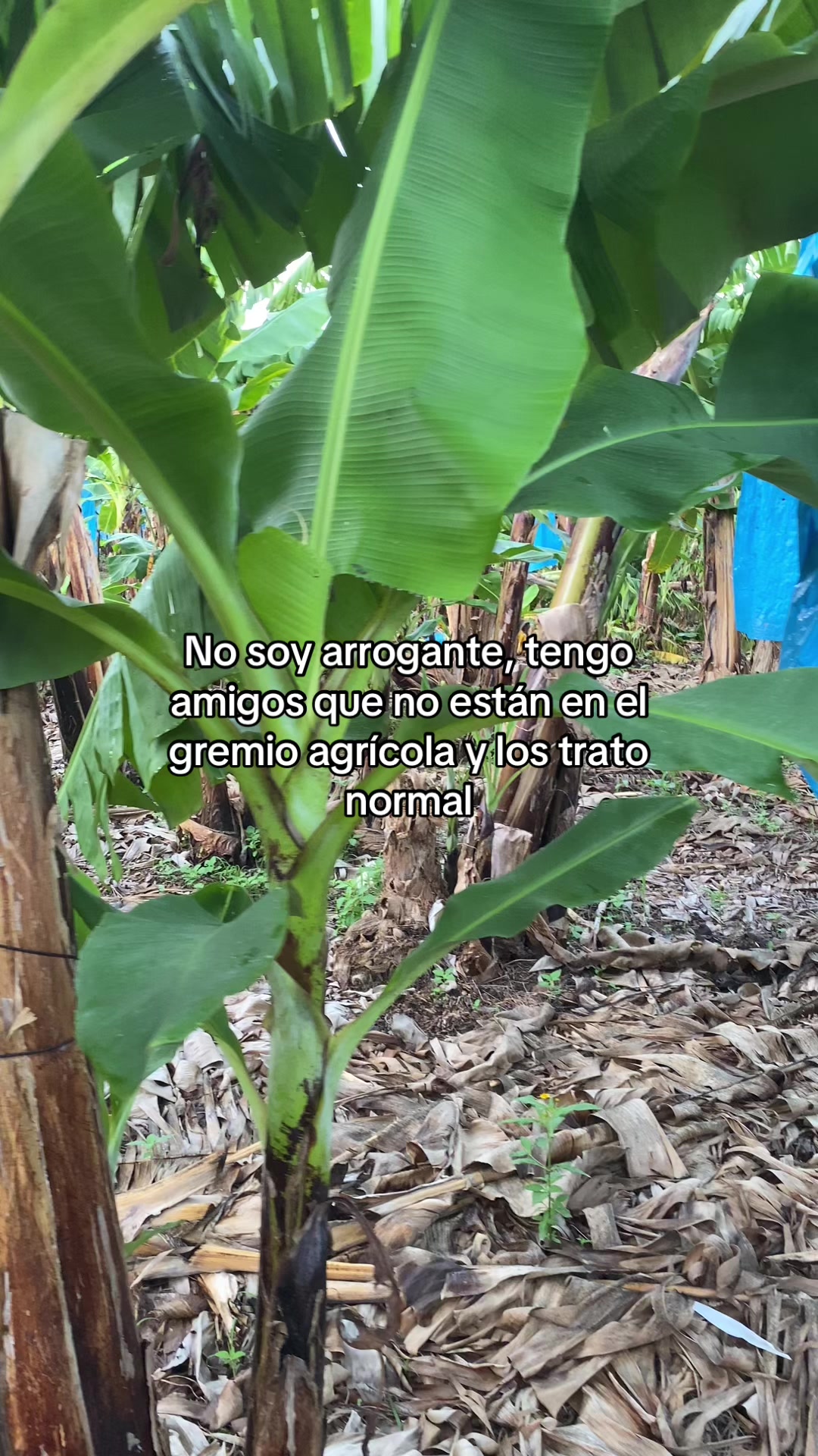 @Mujer Agrícola