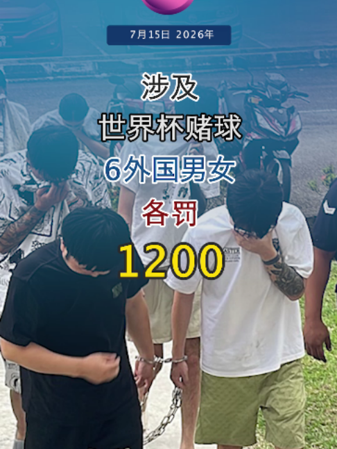@中国报