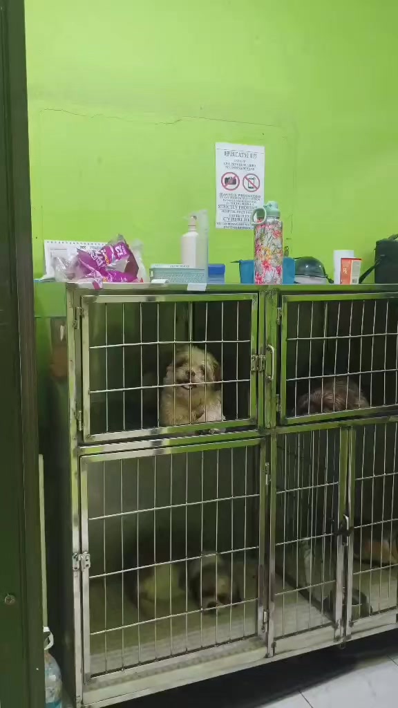 @ken_t