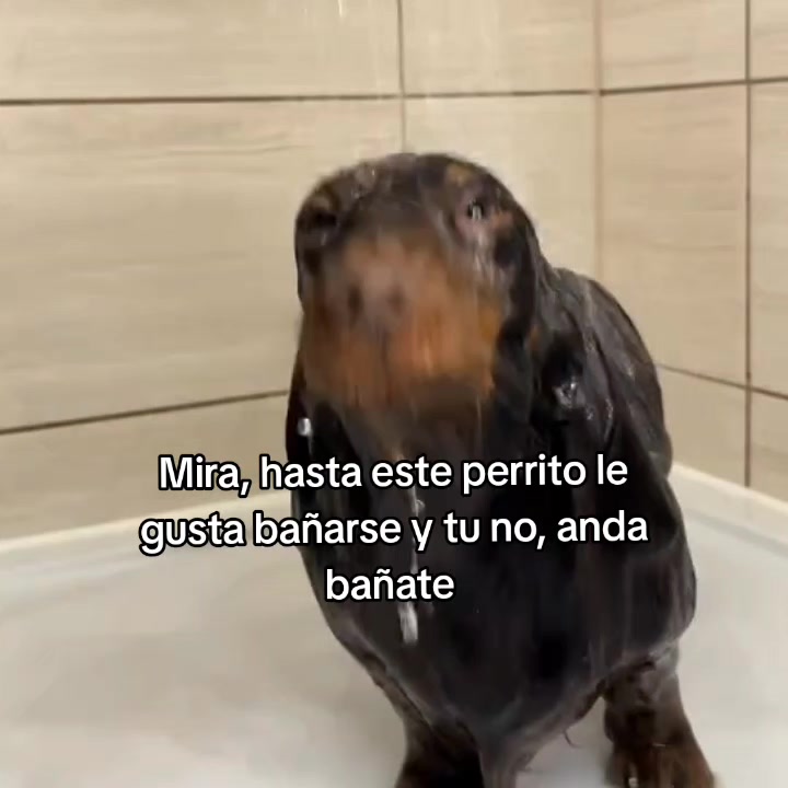 @goodvibessxd