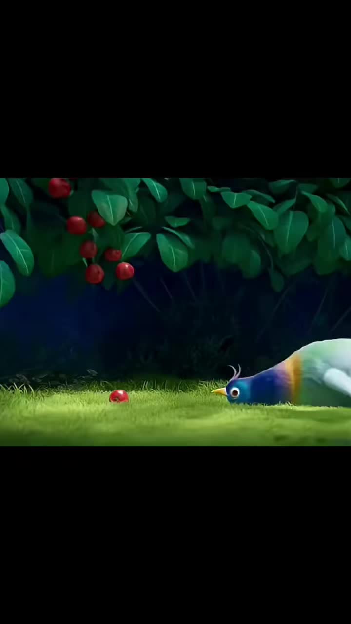 @চিলমারী