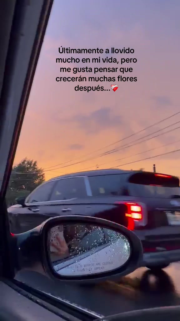 @💗✦ 𝓒𝓱𝓮𝓵𝔂 ✦🎀