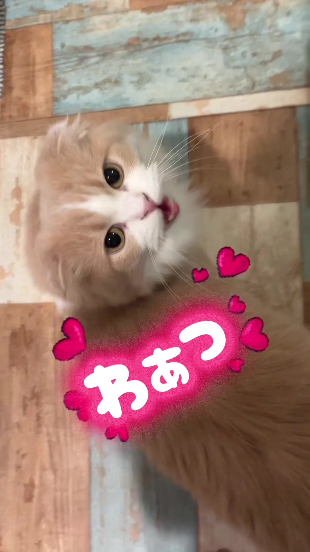 @くるラテ