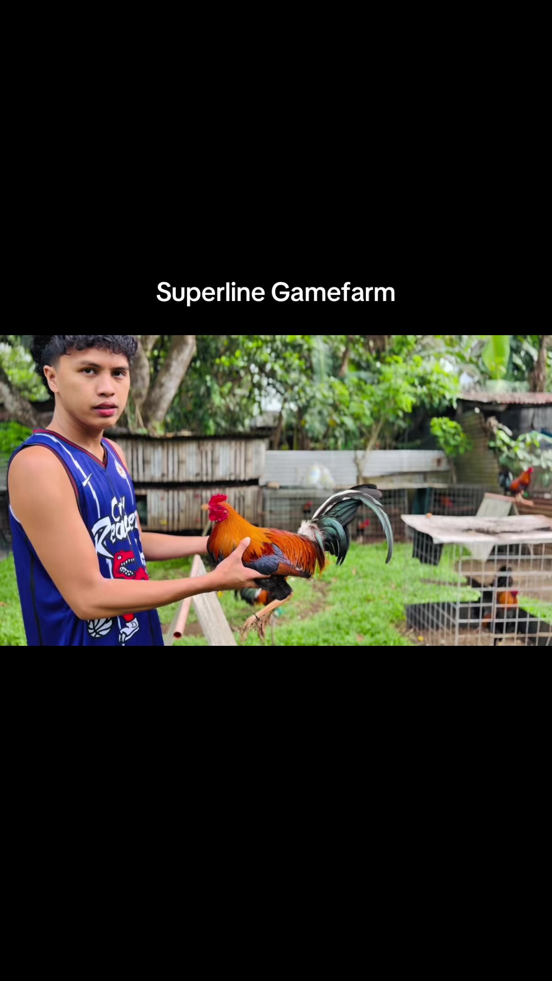 @Superline Gamefarm