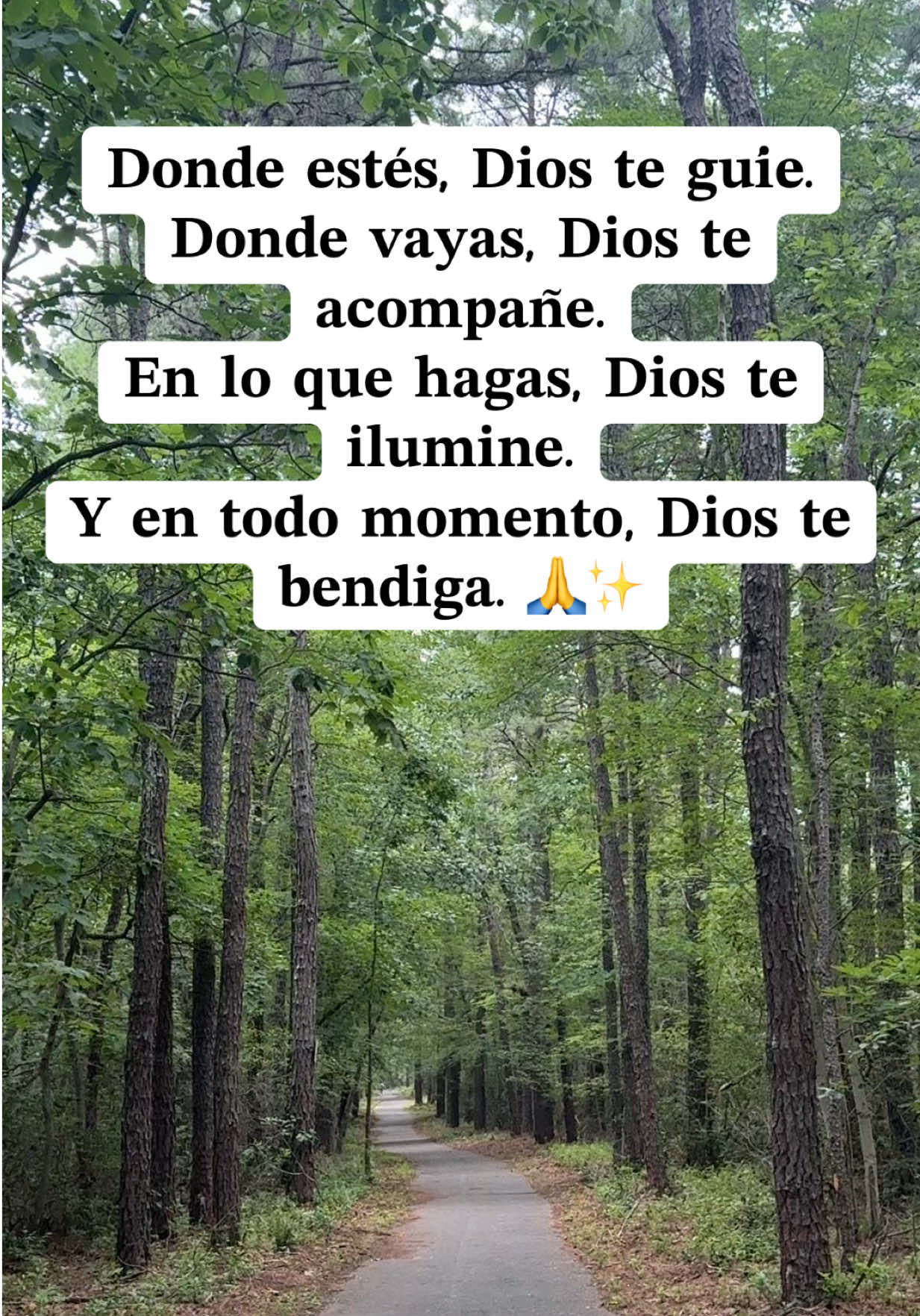 @Oneyda✨