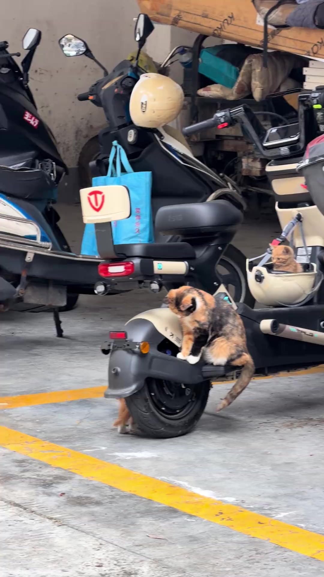 @🇲🇽MAYOREO QIHUO M&Eacute;XICO🇲🇽