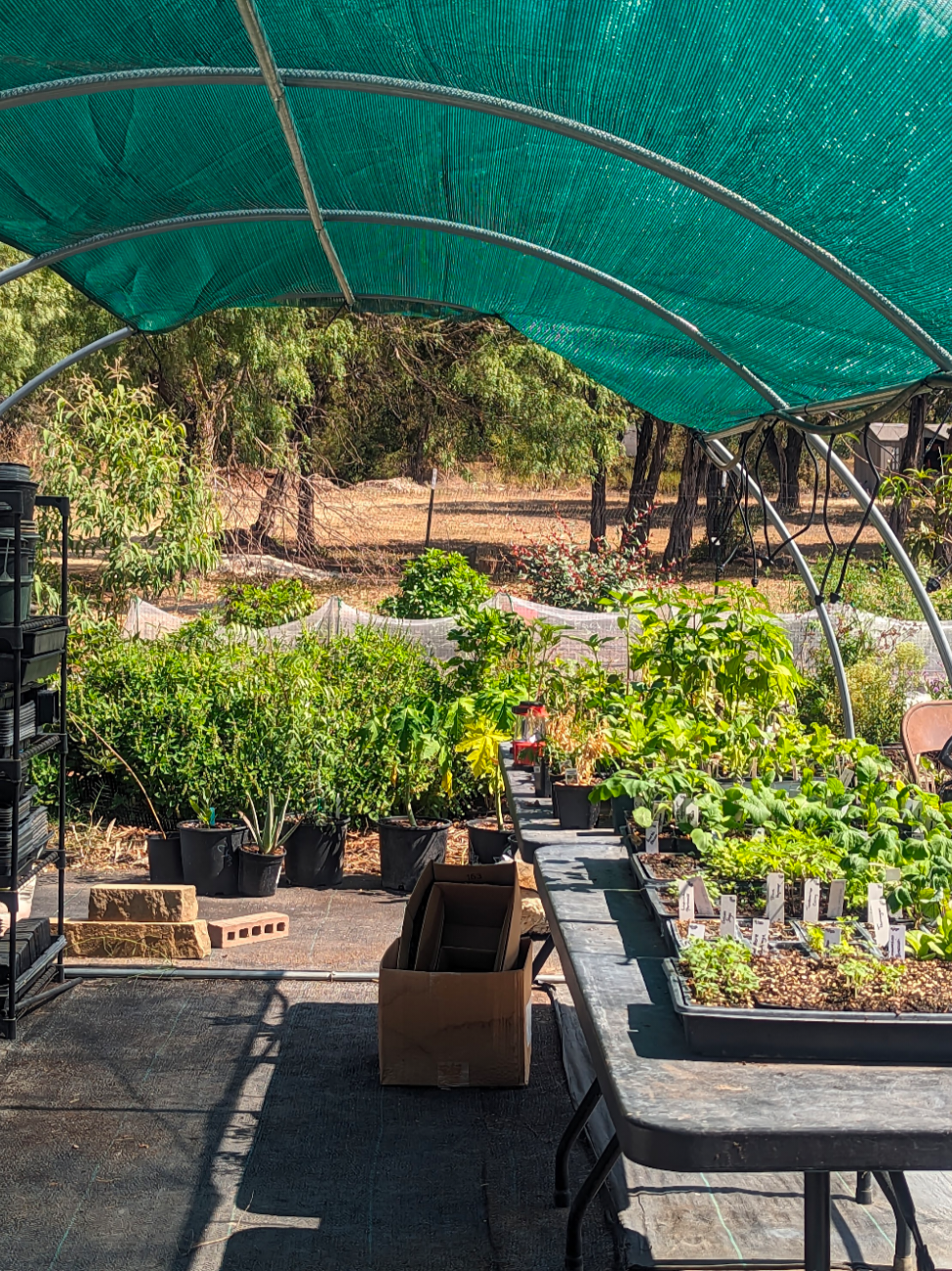 @4Js Botanicals Nursery & Farm
