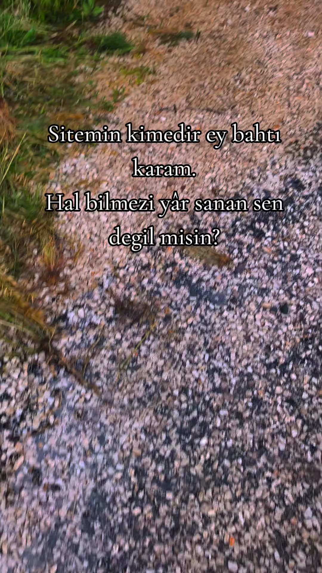 @ミ★ Ne&Ccedil;E🍁 ZOZAN ★彡
