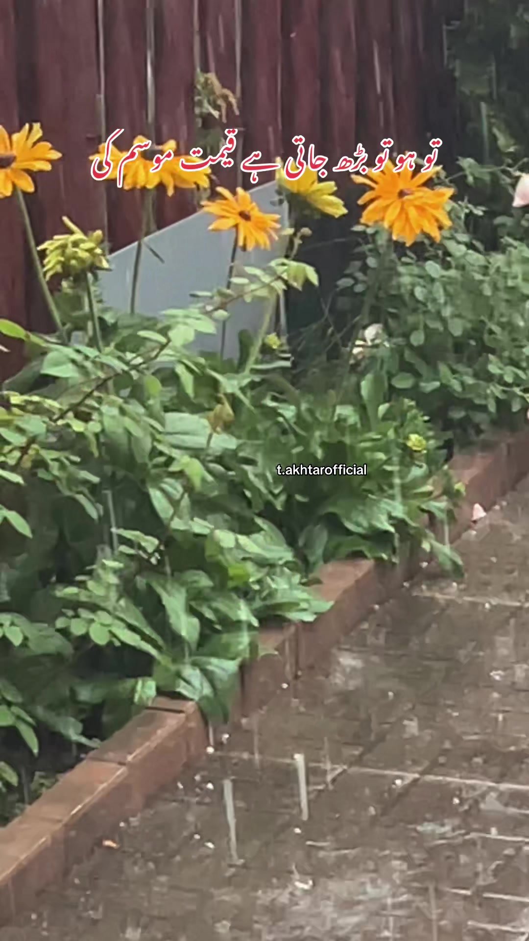 @T.Akhtar Official