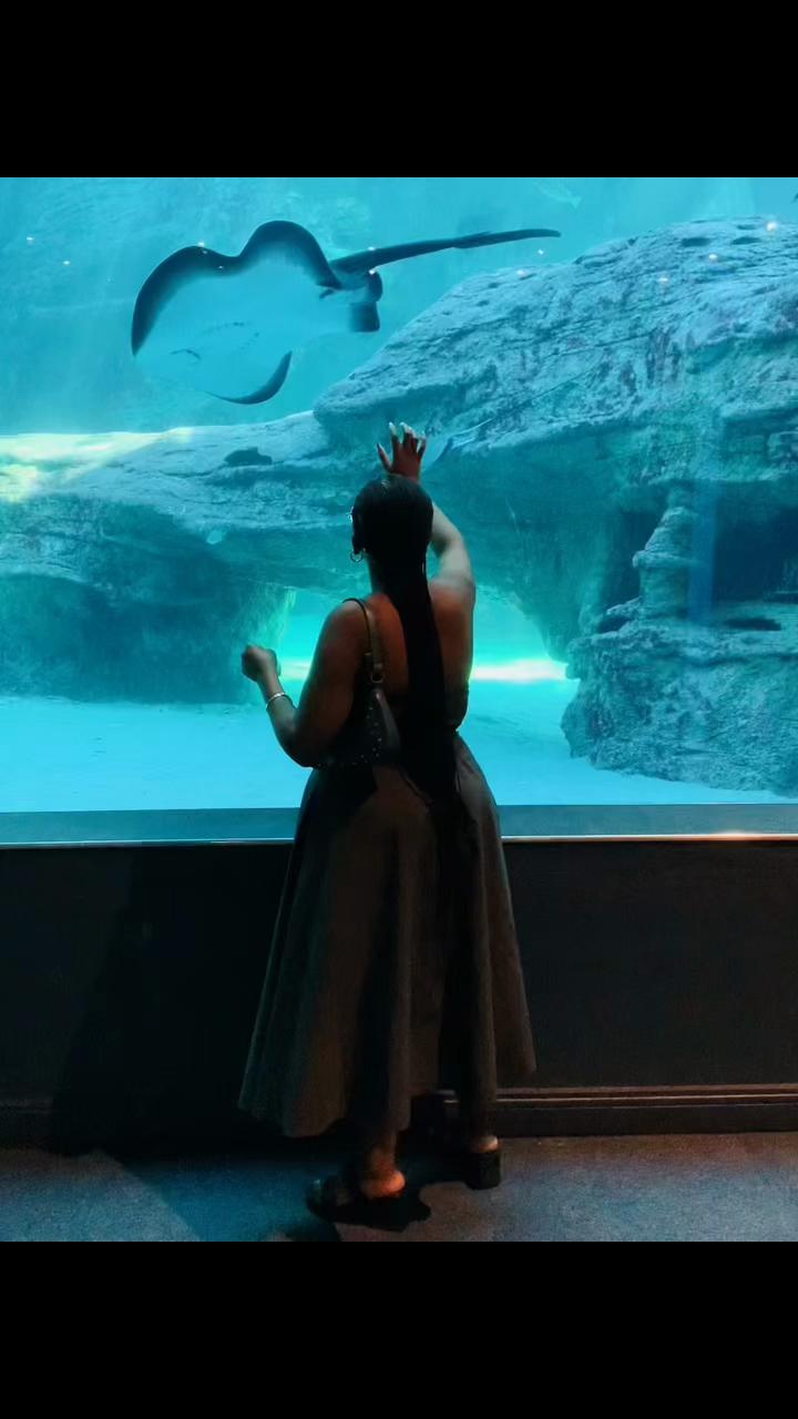 @mafaku20199