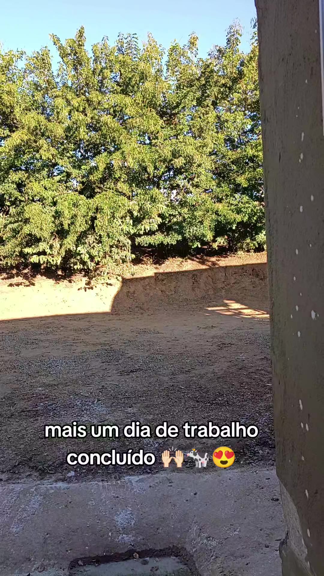@Vivianne_Gomes_Oficial🌵🦋