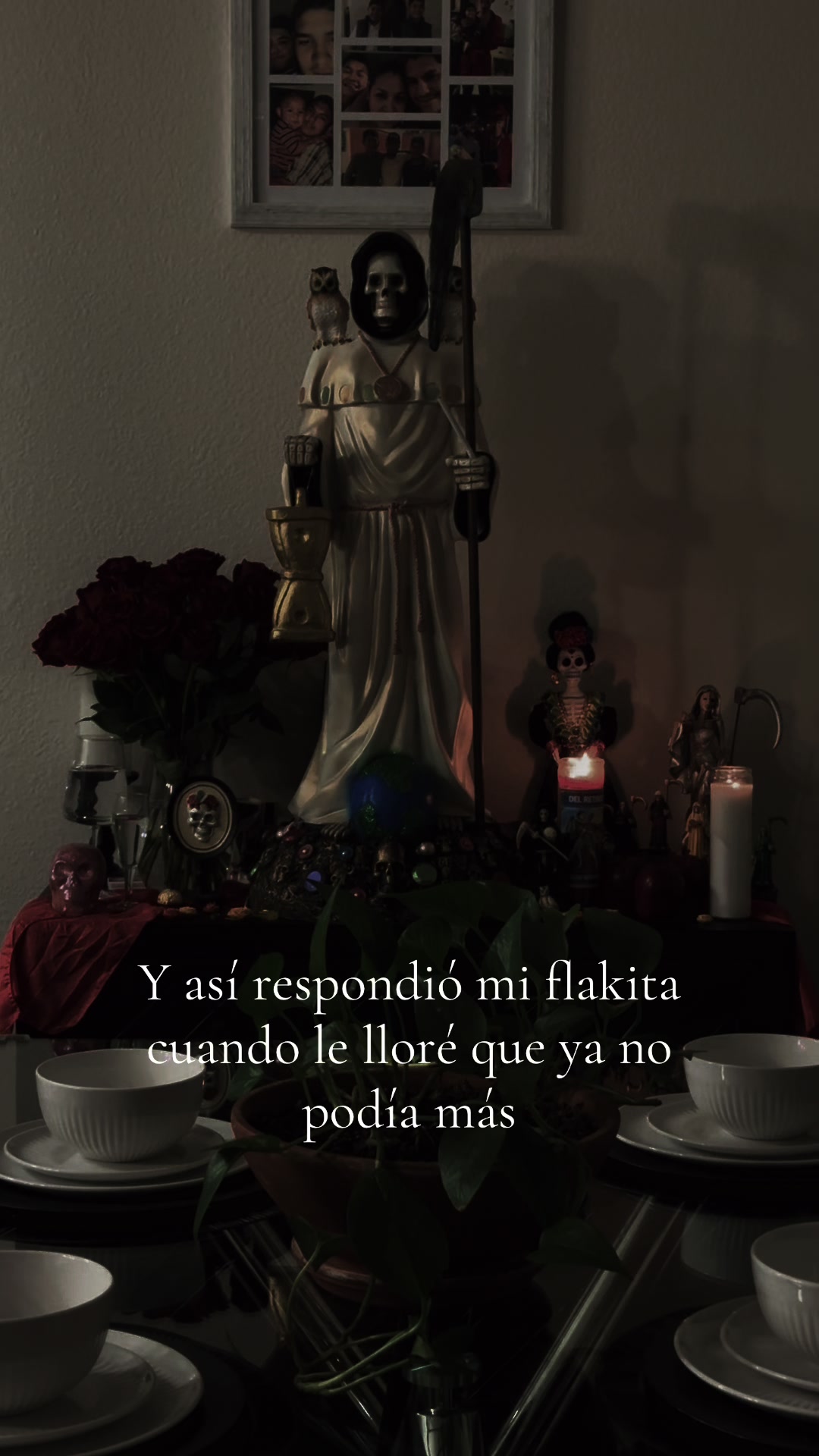 @Jackie🦉🌙