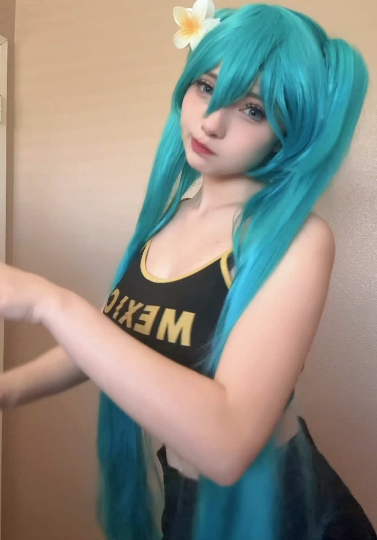 @mikasa su casa ♡