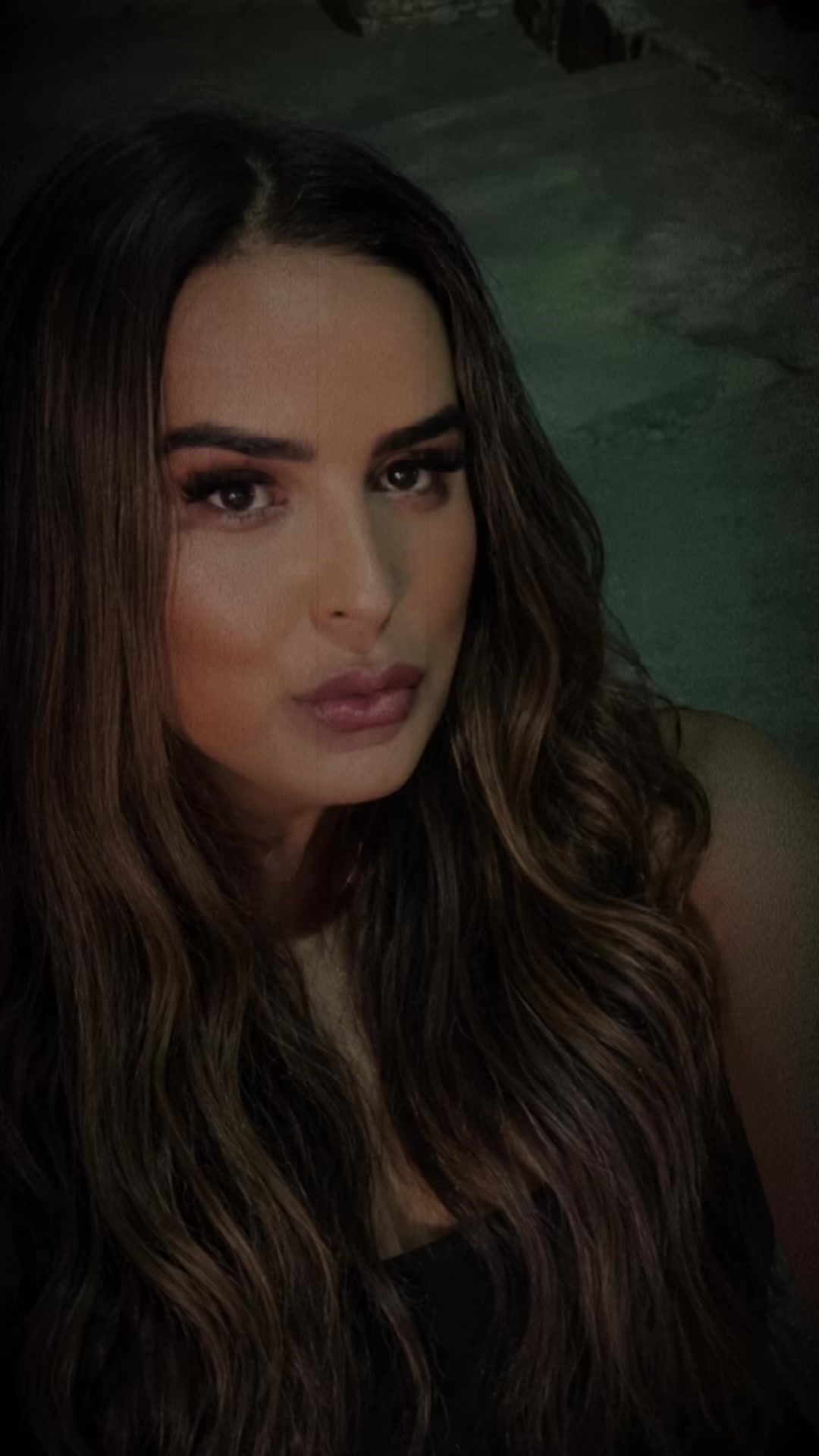 @tialaaraujotrans