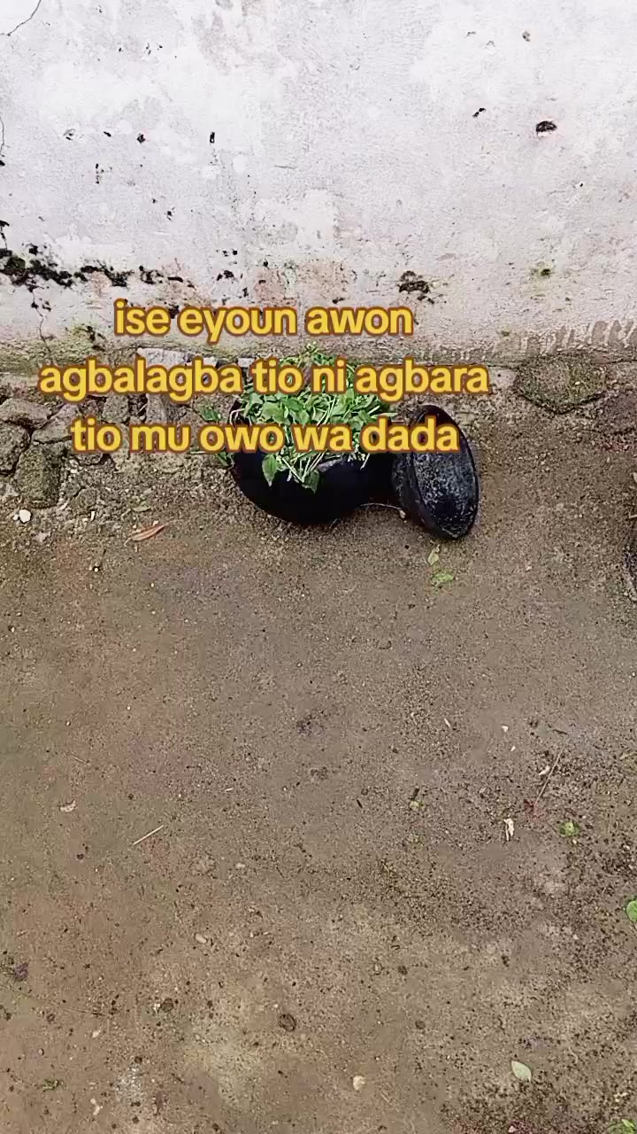 @oba ijinle ogbon agba