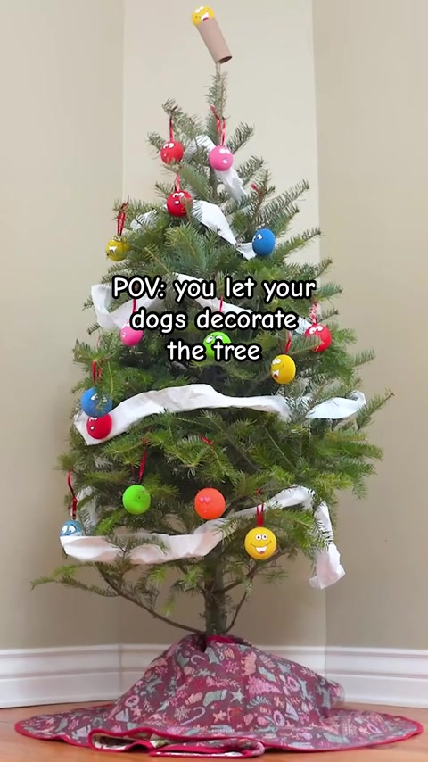 @Crusoe the Dachshund