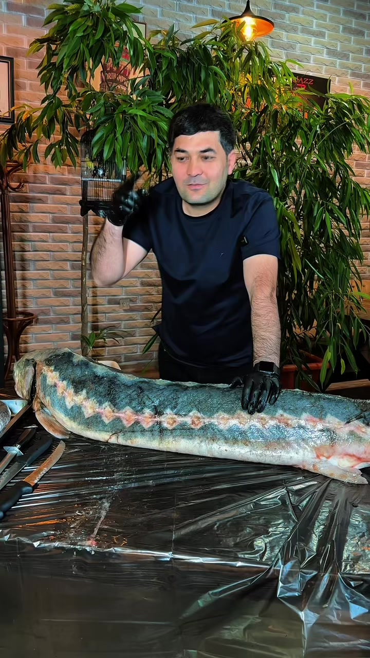 @"Steak House" Lebap