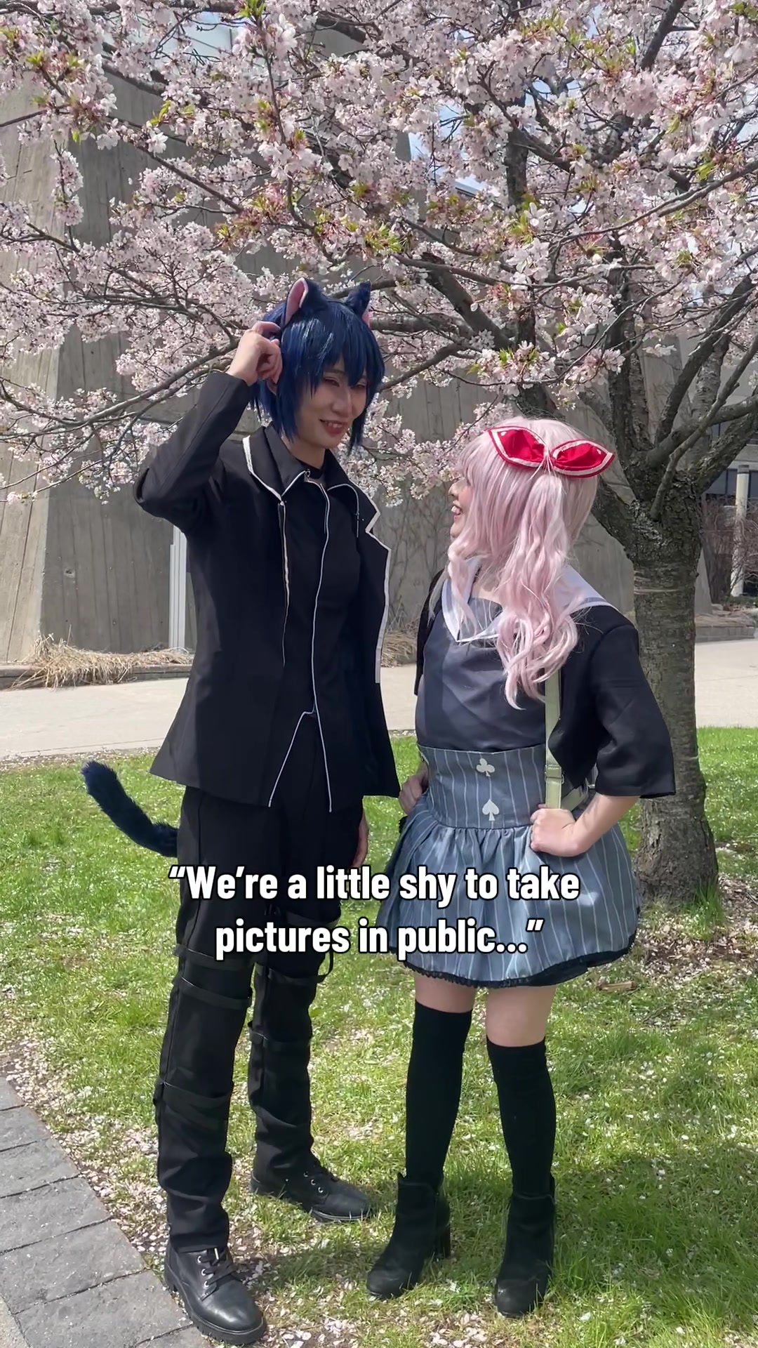 @Angel ˚✧ Cosplayer